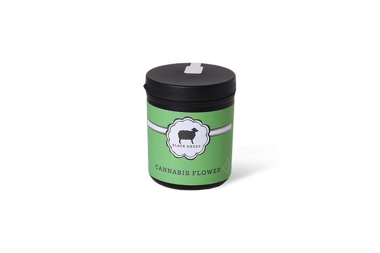 Black Sheep Lemon Dreamy 7 gr Flower WholesomeCo